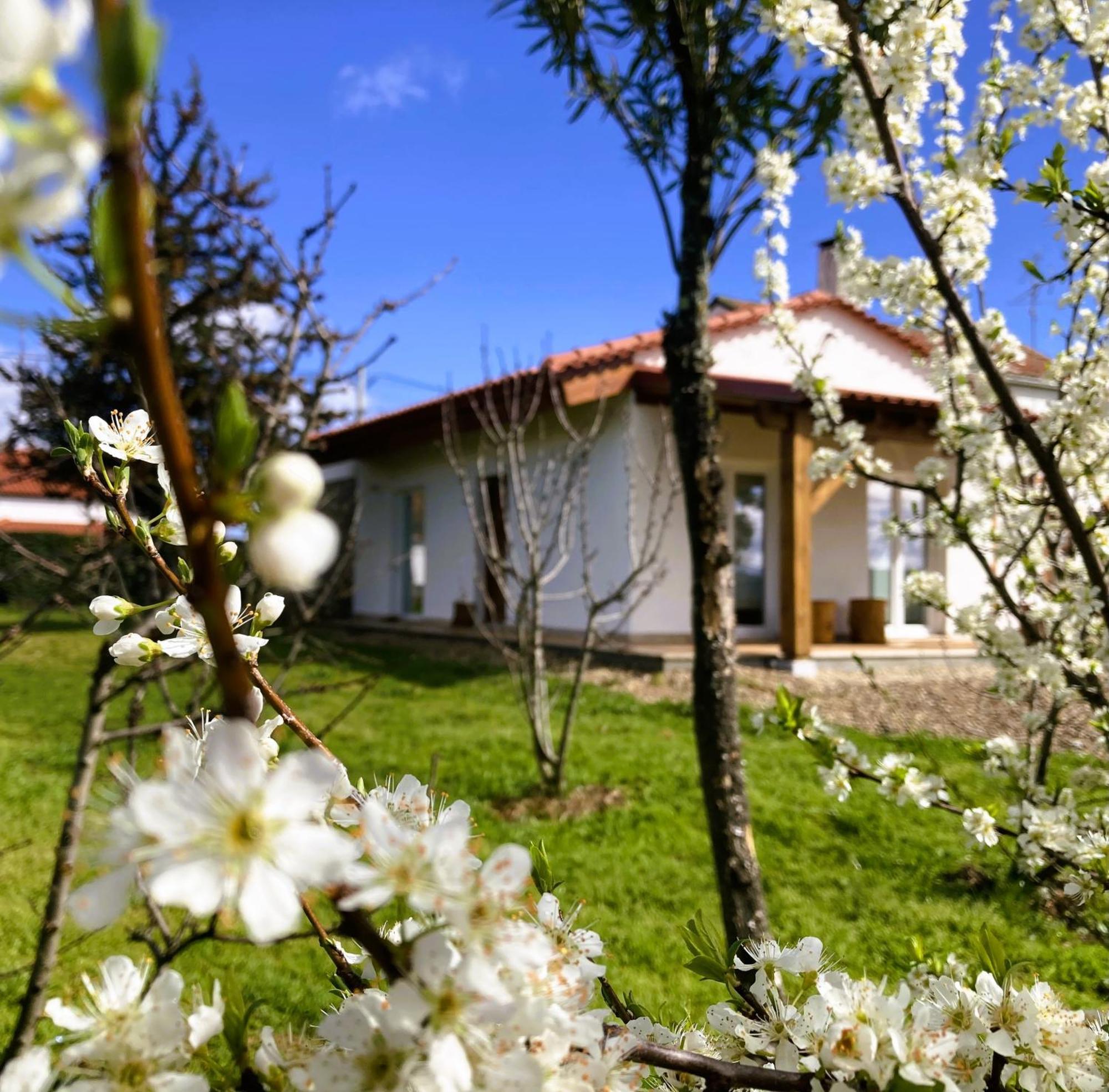 Ar Da Beira Villa Belmonte  Eksteriør billede